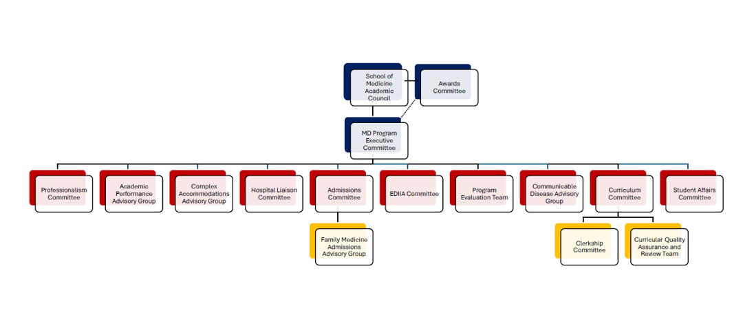 Graphic representation of the committee flow chart